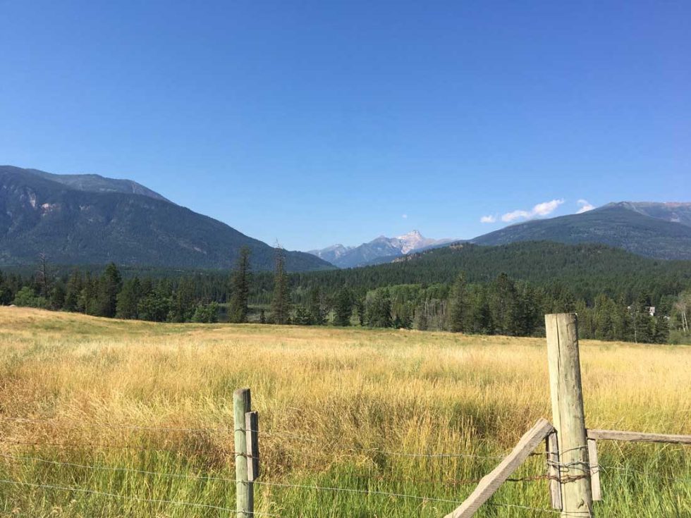 East Kootenays Wells Family Law